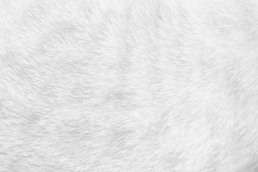 Close-up of high-quality outerwear materials including wool, leather, and faux fur textures