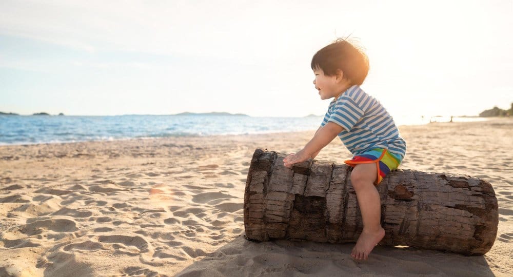 Happy little boy sitting on a cut tree at the beach