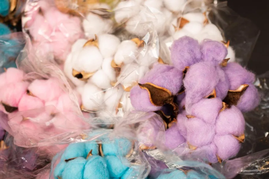 Guide to Growing Cotton (4)