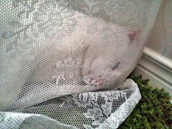 Darned Lace Fabric: A Timeless Crafting Technique Explained