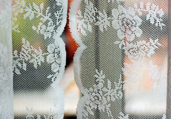 Close-up detail of filet lace fabric showing mesh structure and embroidered patterns