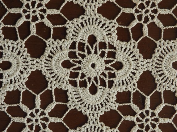Close-up of traditional Schiffli embroidery lace pattern with circular and floral motifs on fabric.