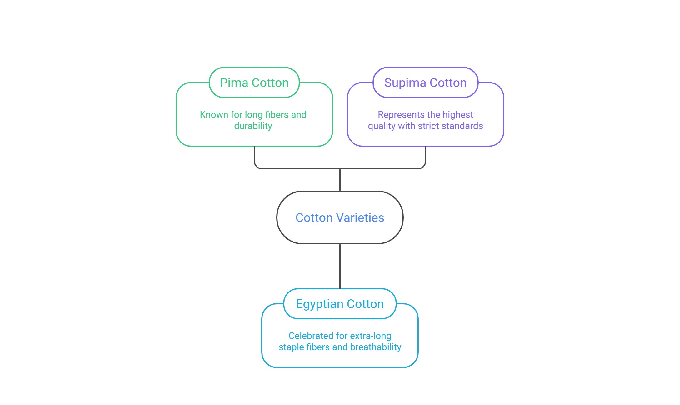 Pima vs Egyptian vs Supima Cotton comparison