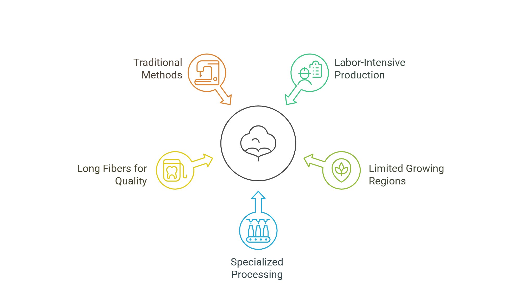 Reasons why linen fabric is expensive and pricing factors