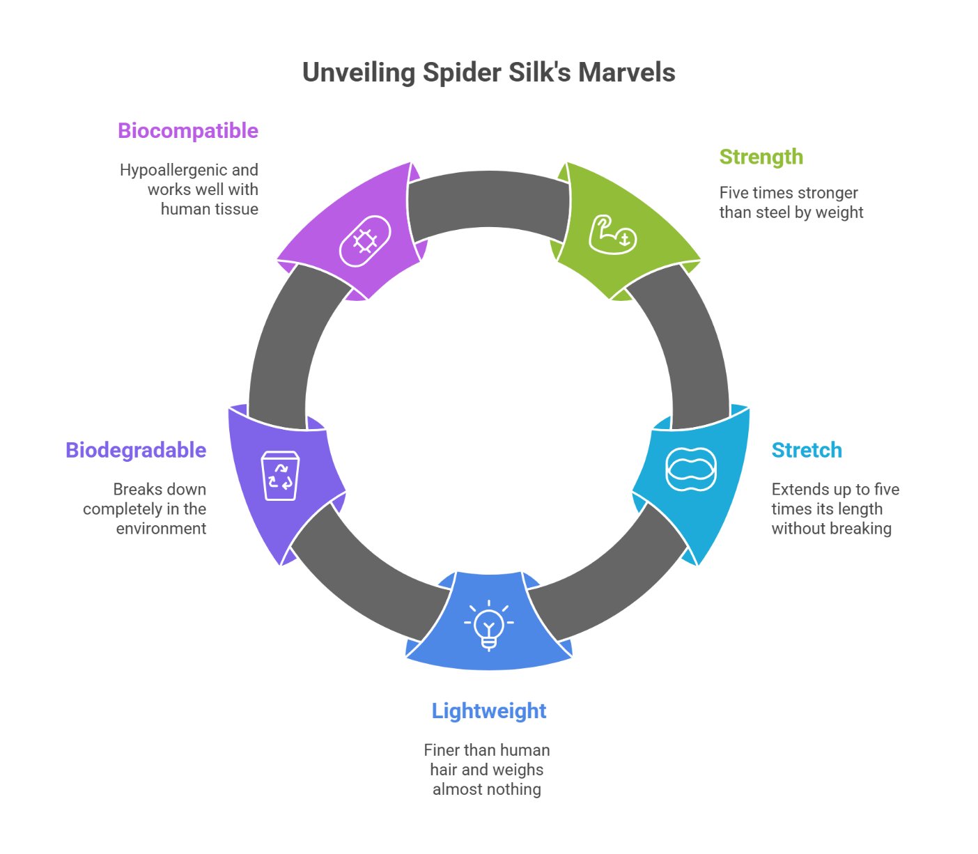 Infographic showing the key properties of spider silk including strength, stretch, lightweight feel, biodegradability, and biocompatibility