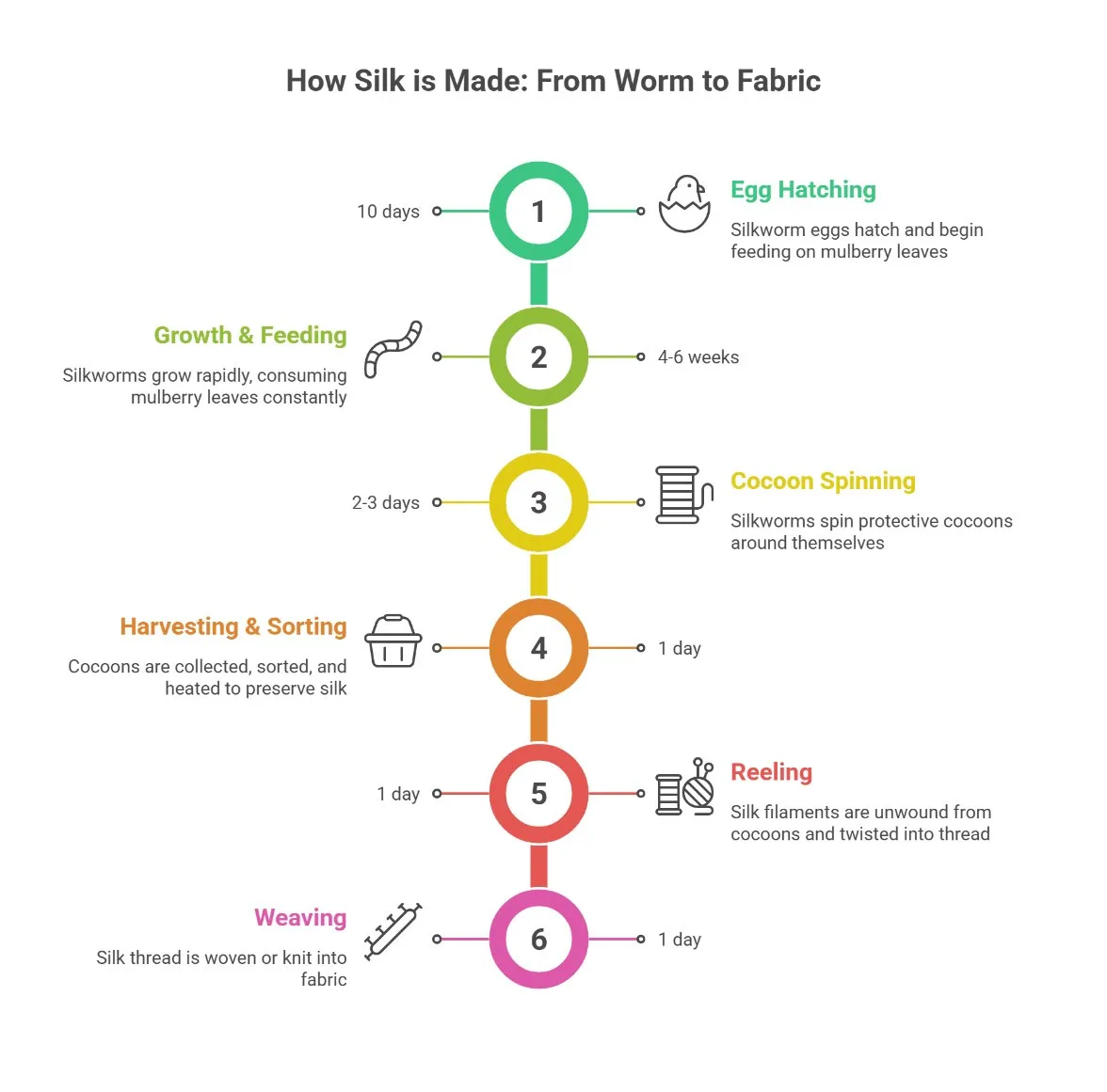 How Silk is Made - The Sericulture Process from silkworm to fabric