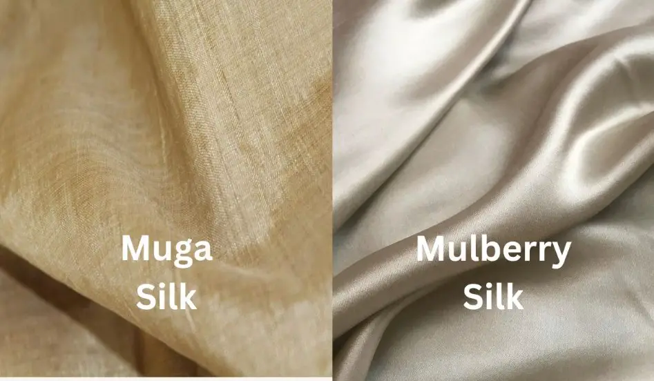 Comparison between Mulberry Silk and Muga Silk showing key differences