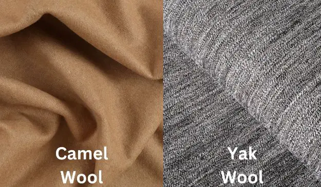 Camel wool fabric compared with yak wool fabric in a texture comparison