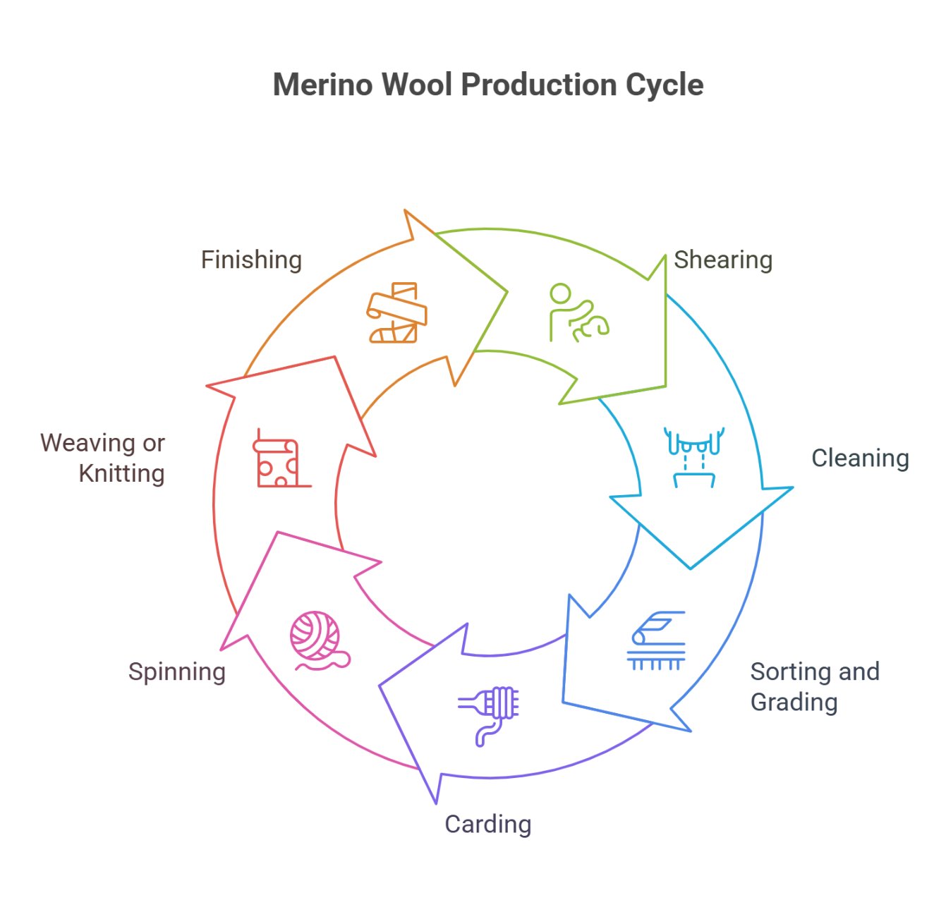 Infographic showing the merino wool production cycle from shearing to finishing