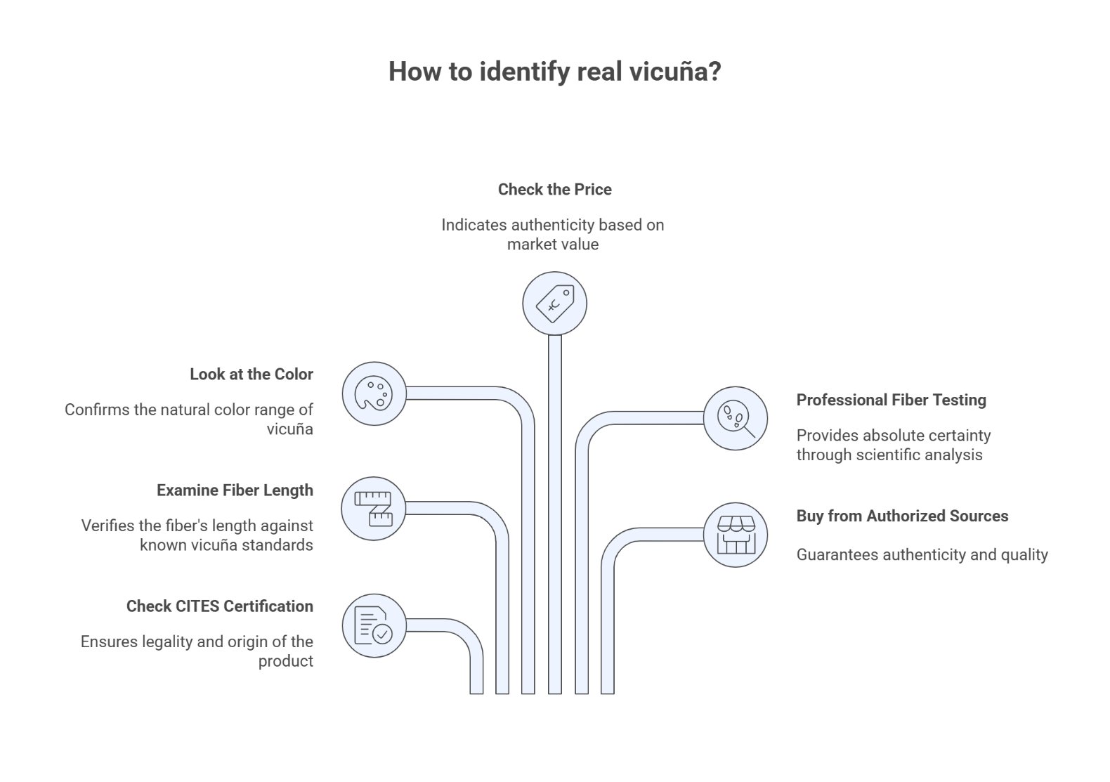 Infographic explaining how to identify genuine vicuña wool using color, price, and certification
