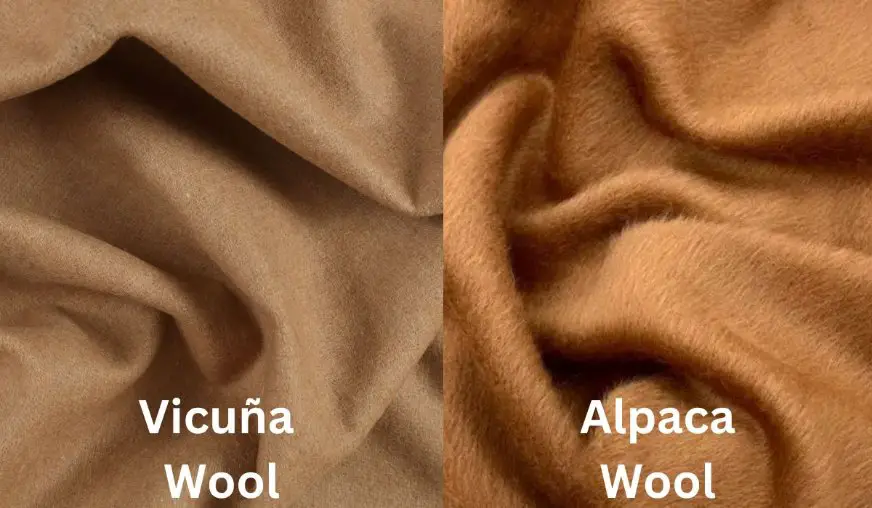 Vicuña wool and alpaca wool comparison showing texture and softness differences