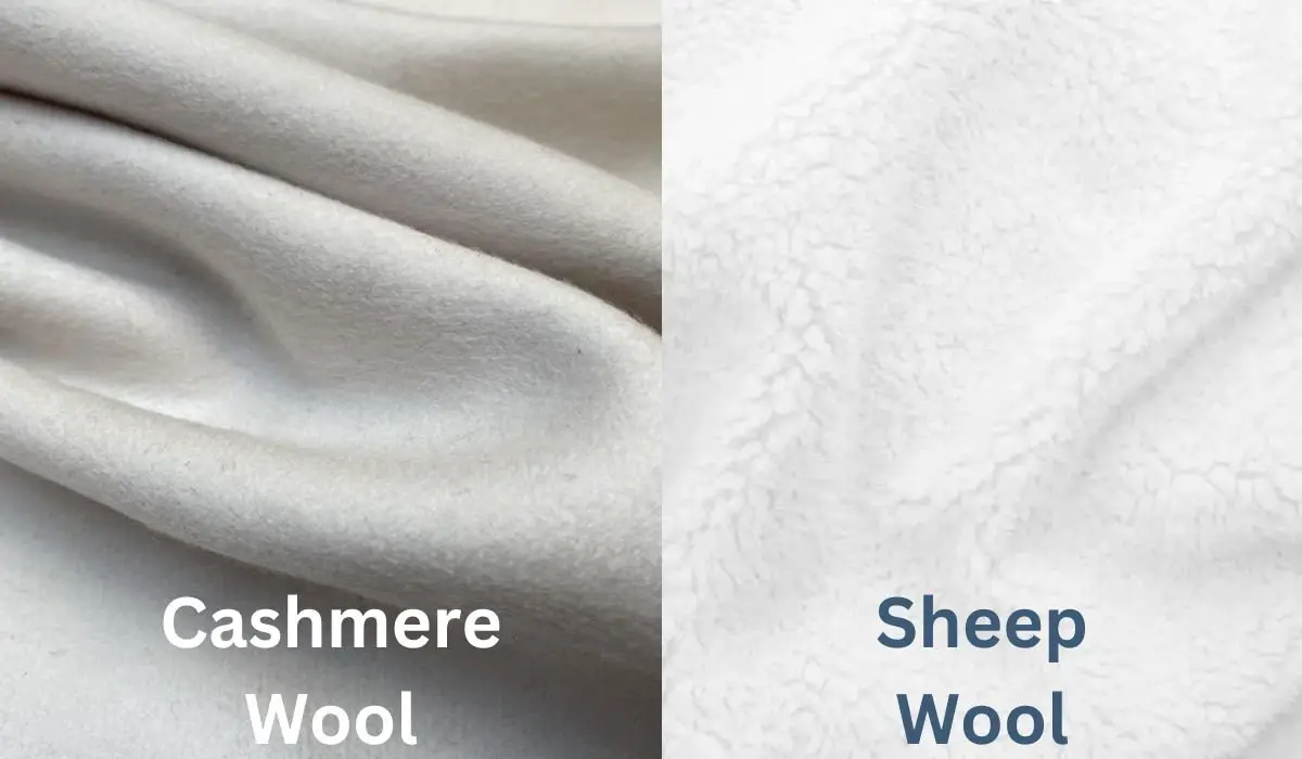 Side by side comparison of cashmere wool and sheep wool fabric texture