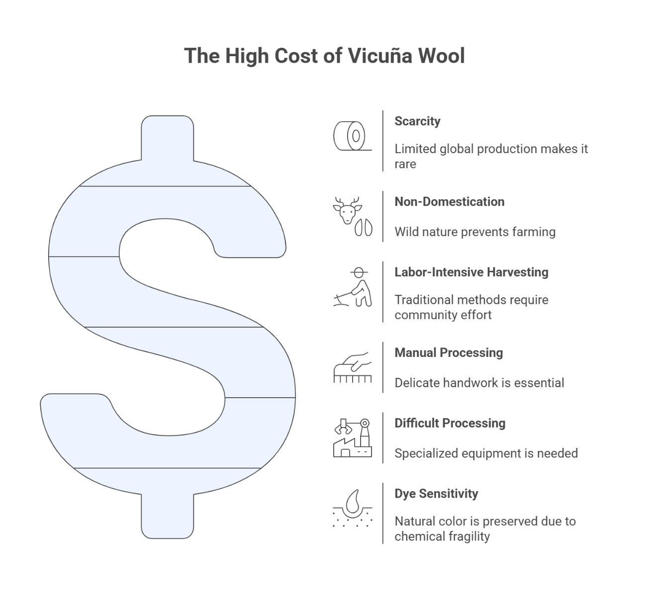 Infographic explaining why vicuña wool is expensive due to rarity, manual harvesting, and limited production