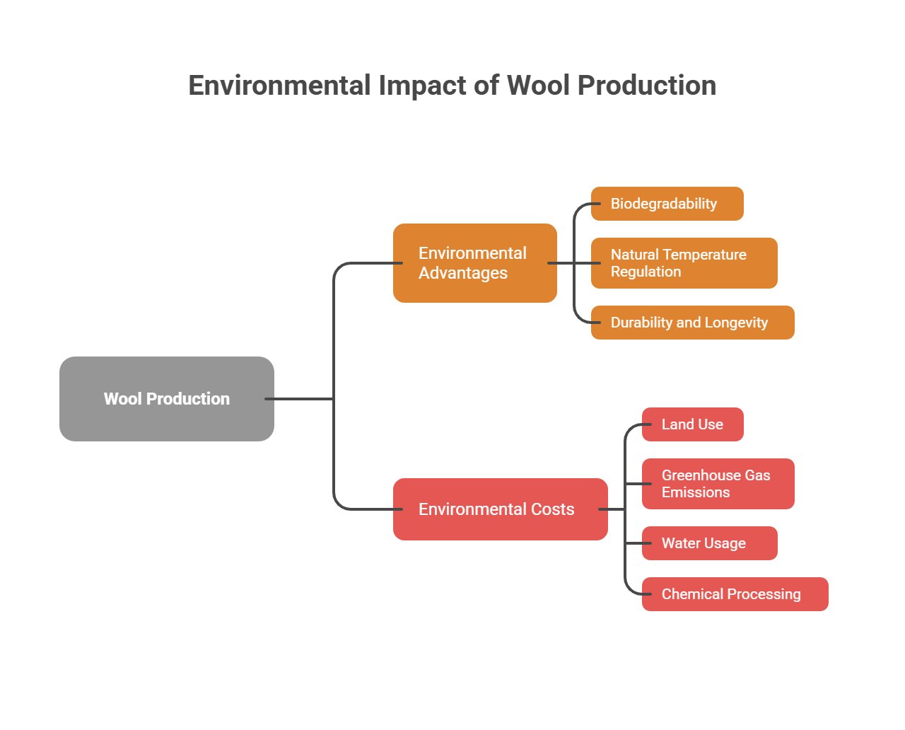 Diagram explaining the environmental impact of wool production including benefits like biodegradability and costs such as water use and emissions