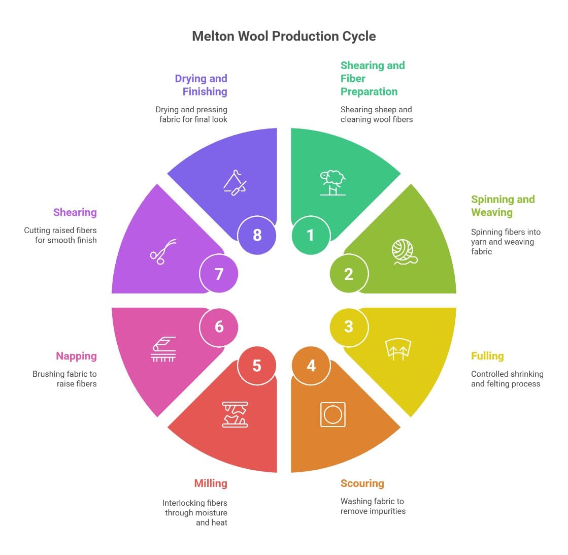 Melton wool production process infographic showing shearing, spinning, weaving, fulling, milling, and finishing stages