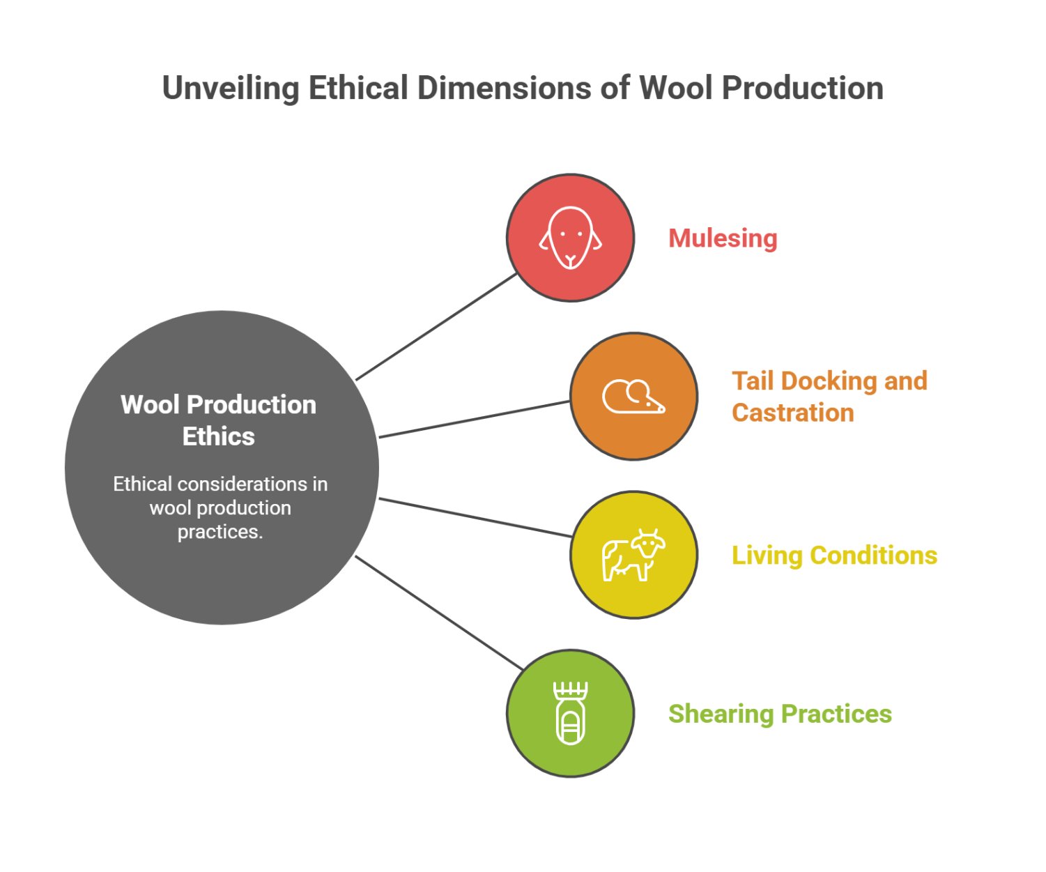 Infographic showing animal welfare concerns in wool production including mulesing, living conditions, and shearing practices